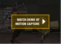 Motion capture Demo